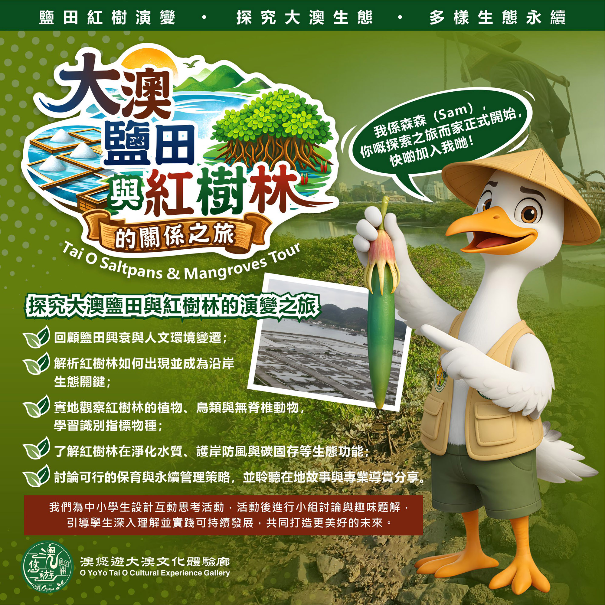 Tai O Salt Pan and Mangrove Eco-Tour