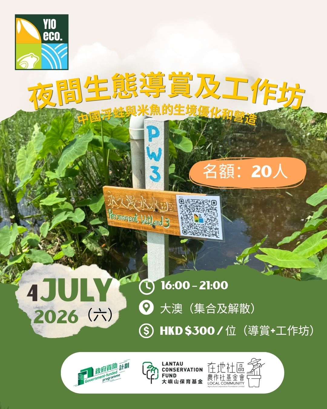 夜間生態導賞及工作坊-中國浮蛙與米魚的生境優化和營造