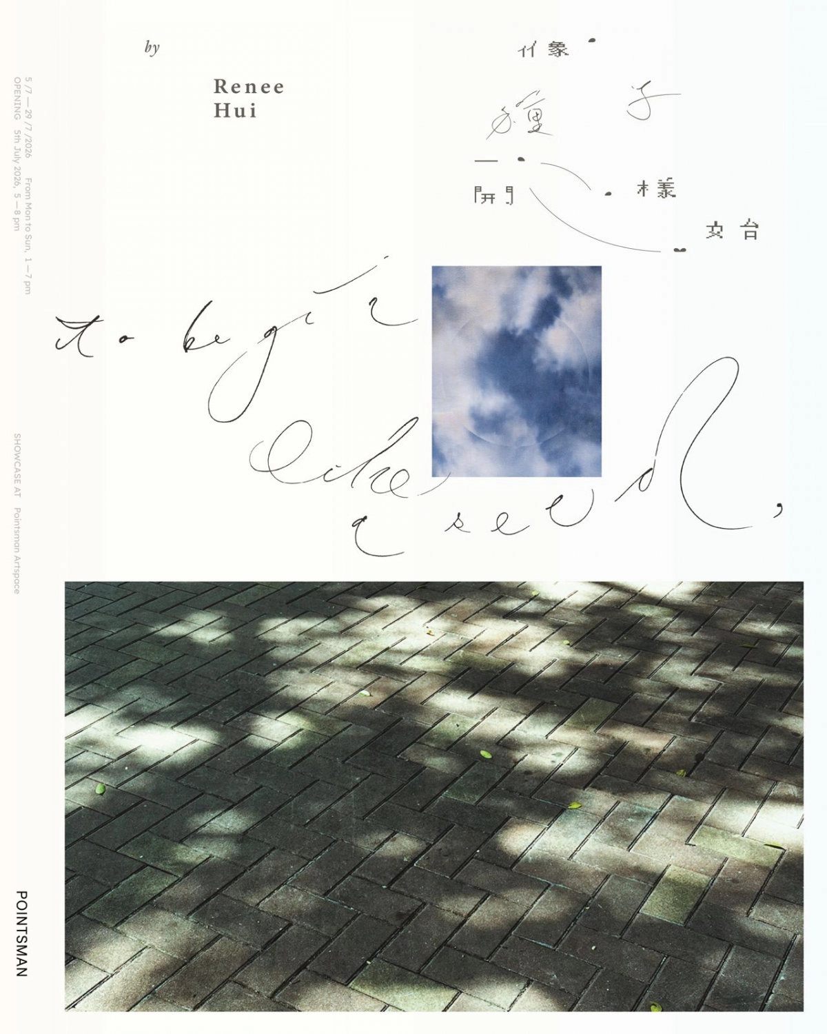 許穎「像種子一樣開始」展覽