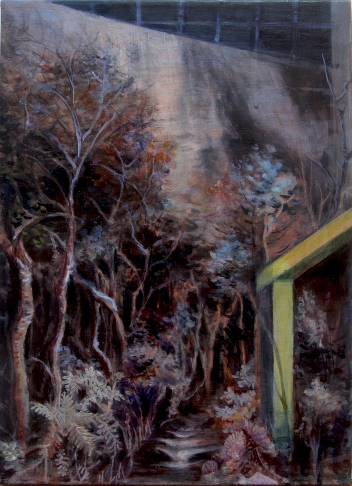 Colors and Light/Shadows on Canvas