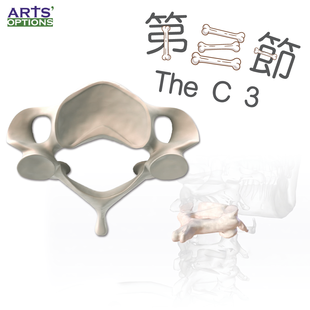 C3 [The 2nd Hong Kong Golden Age Arts Festival]