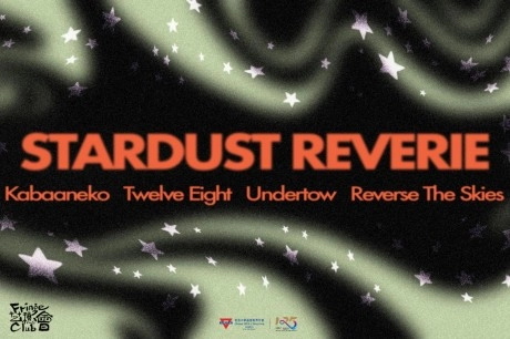 Stardust Noise Dream Concert